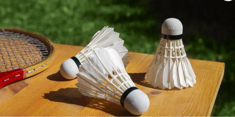 Bí Kíp Soi Kèo Cá Cược Cầu Lông GD365 Chuẩn Xác Tuyệt Đối