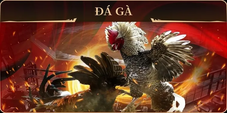 Làm Chủ Sàn Đấu Đá Gà GA28 Tại GD365 Cùng Bí Kíp Độc Quyền 2 Làm Chủ Sàn Đấu Đá Gà GA28 Tại GD365 Cùng Bí Kíp Độc Quyền