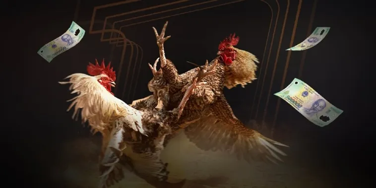 Đá Gà GD365 Đấu Trường Kịch Tính Thống Trị Mọi Kèo Cược